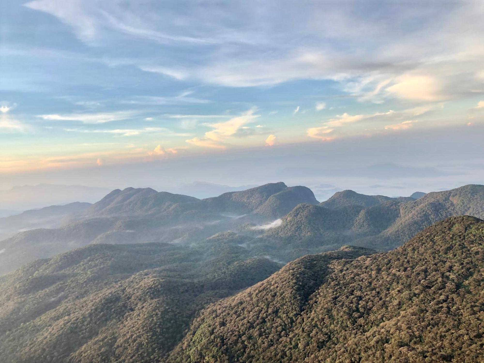 Hotel Mango Tree Nearest Adam'S Peak Nallathanniya Εξωτερικό φωτογραφία