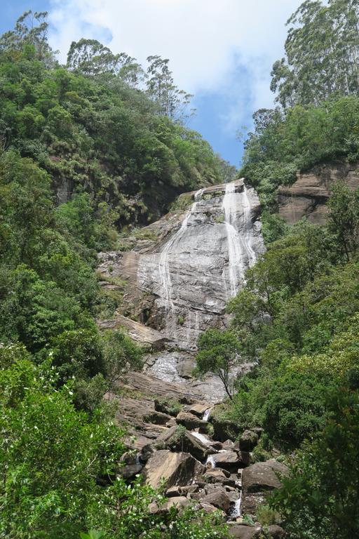 Hotel Mango Tree Nearest Adam'S Peak Nallathanniya Εξωτερικό φωτογραφία