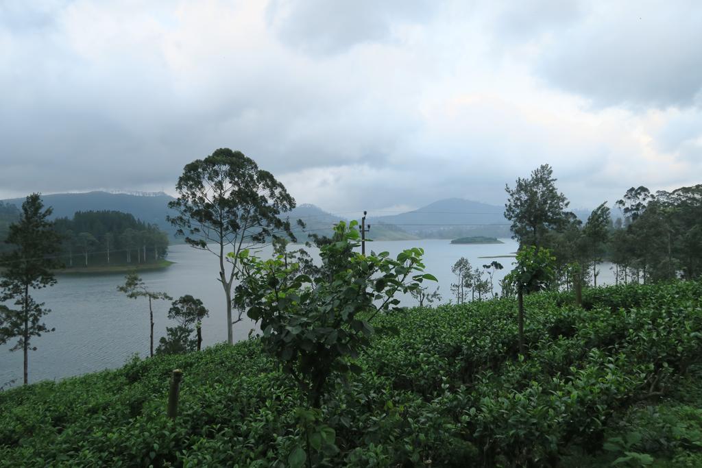 Hotel Mango Tree Nearest Adam'S Peak Nallathanniya Εξωτερικό φωτογραφία