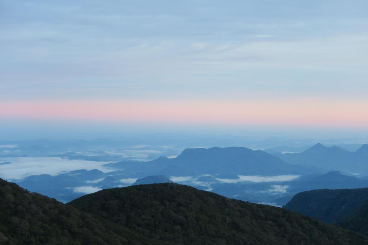 Hotel Mango Tree Nearest Adam'S Peak Nallathanniya Εξωτερικό φωτογραφία